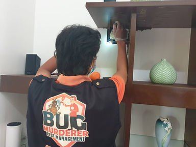 bug murderer pest control cebu